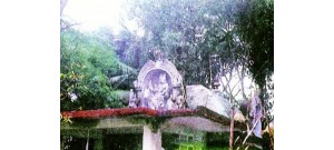 பண்டிதக்குடி